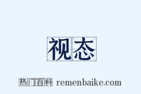 视态是什么意思的图片